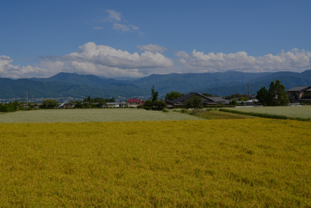 株式会社Excellent one